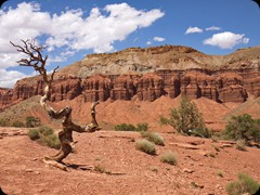 The Castle im Capitol Reef NP