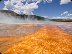 Grand Prismatic Spring