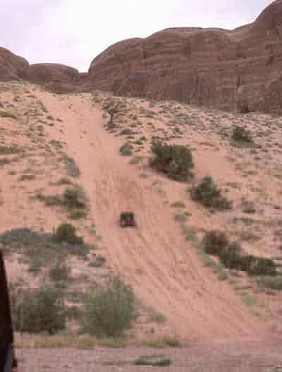Sandhill