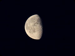 Mond