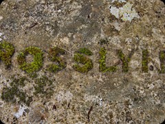 Rosslyn

