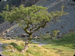 Am Fuße des Castle Crag