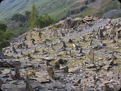 on top of Castle Crag