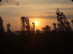 Sonnenuntergang