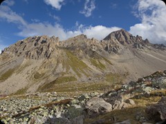 IMG_6132