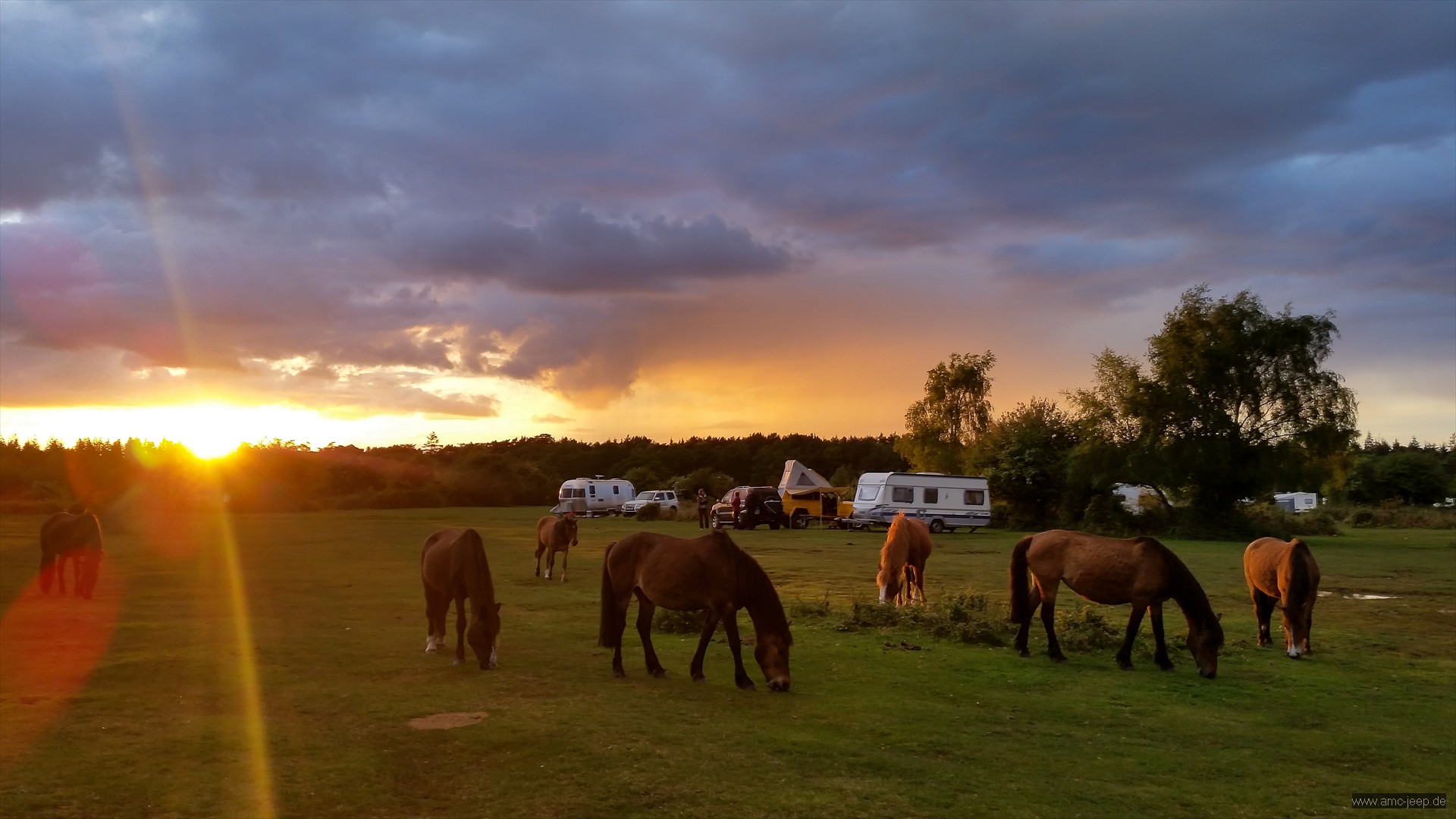Camping im New Forest