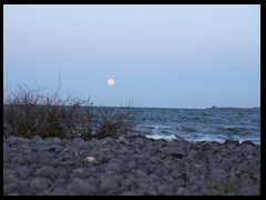 Blue Moon Rising