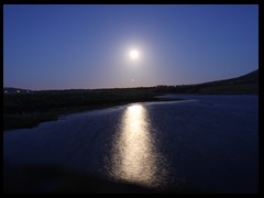 Blue Moon
