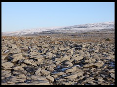 The Burren