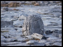 Karstlandschaft