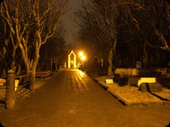 Alter Friedhof Reykjavik