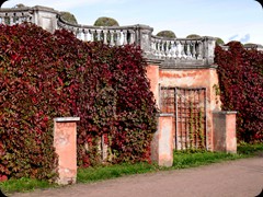 Schloss Peterhof 